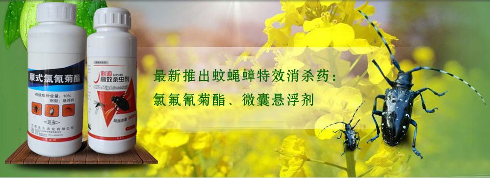 临沂灭蟑螂
