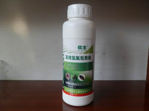 临沂灭蟑螂