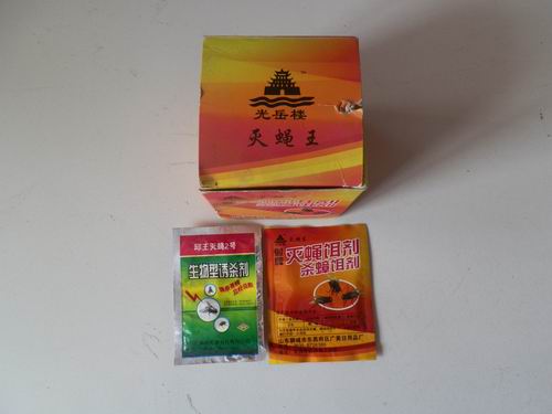 灭蝇王