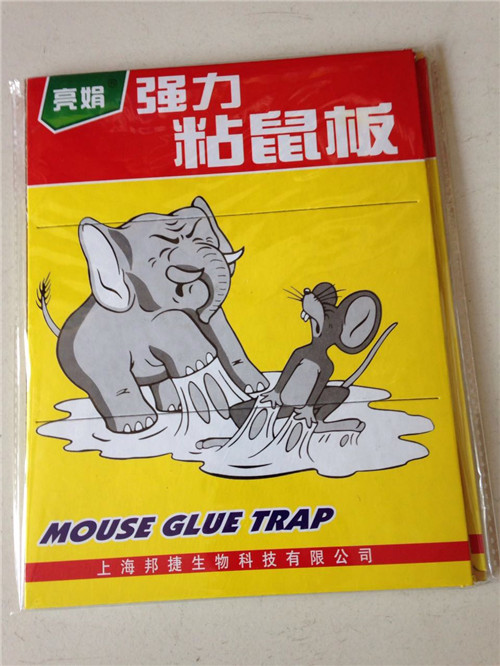 临沂灭老鼠-强力粘鼠板