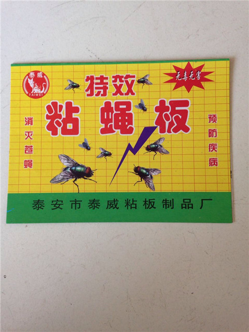 临沂灭蚊蝇-特效粘蝇板