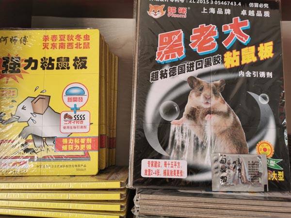 临沂灭老鼠_超强粘鼠板