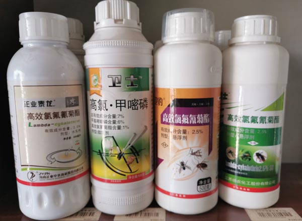 灭蚊蝇、蟑螂