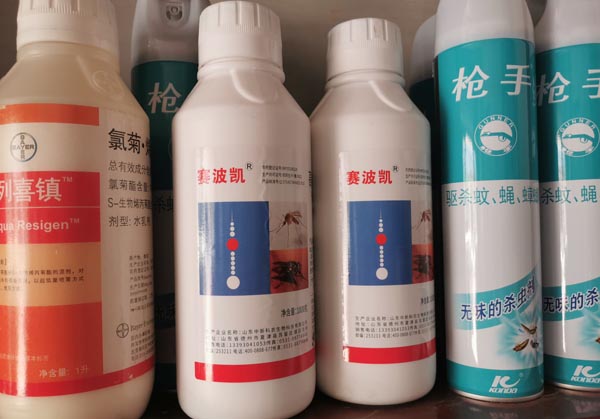 灭蚊蝇/蟑螂利器