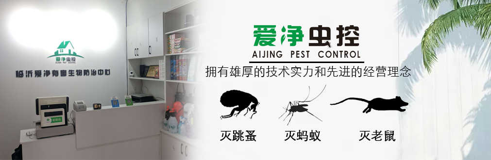 临沂灭蟑螂
