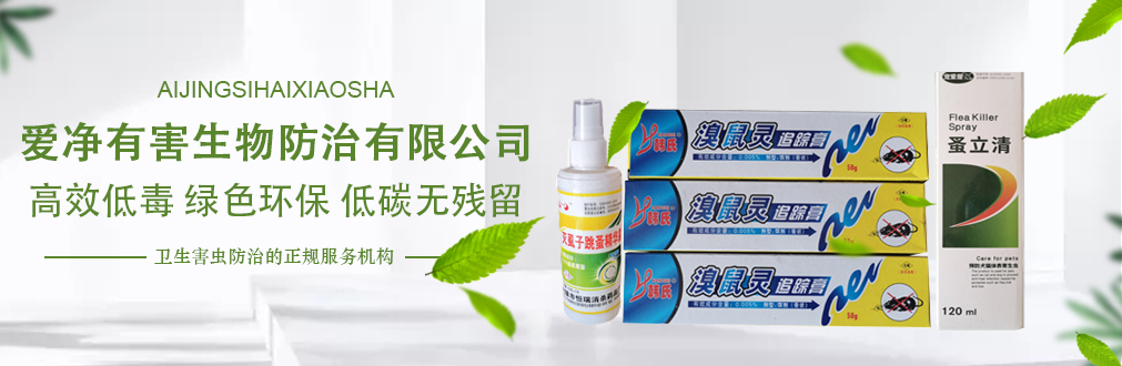 临沂灭蟑螂